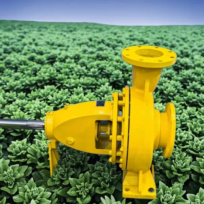 6 Inch Electric Cast Iron End Suction Water Pump High Pressure Centrifugal Sump Diesel Pump for Clean Water OEM Customizable