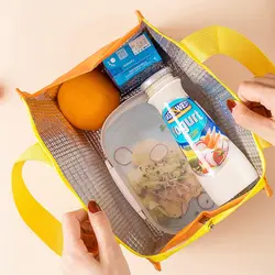 1Pc Cute Portable Thermal Lunch Box Bag for Women Kids Food Storage Handbags Travel Picnic Meal Pouch Insulated Cooler Bento Bag