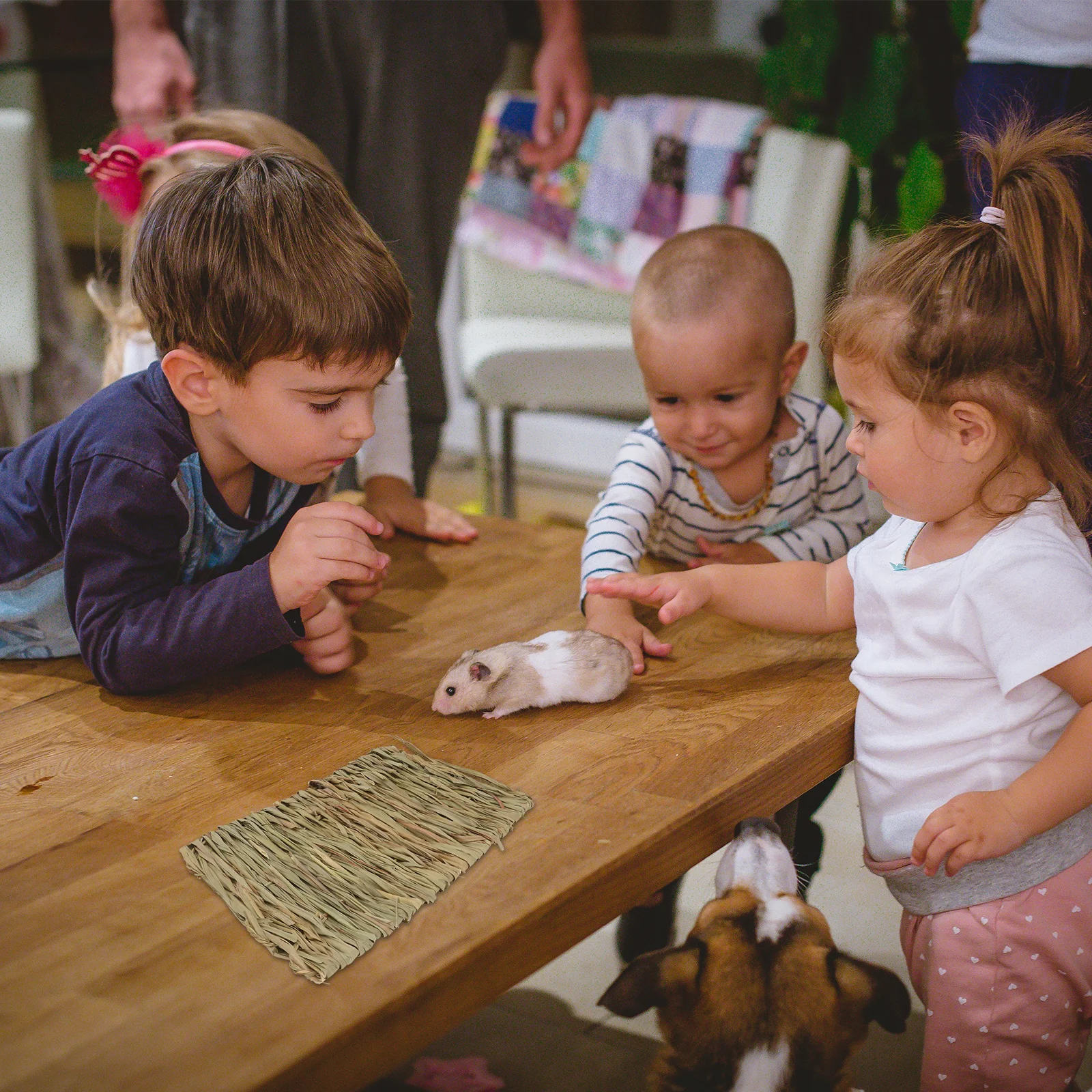 

2Pcs Rabbit Nest Mats Straw Woven Pet Sleeping Pads Hamster Chew Molar Pads Soft Pet Supplies Rabbit Straw Mats