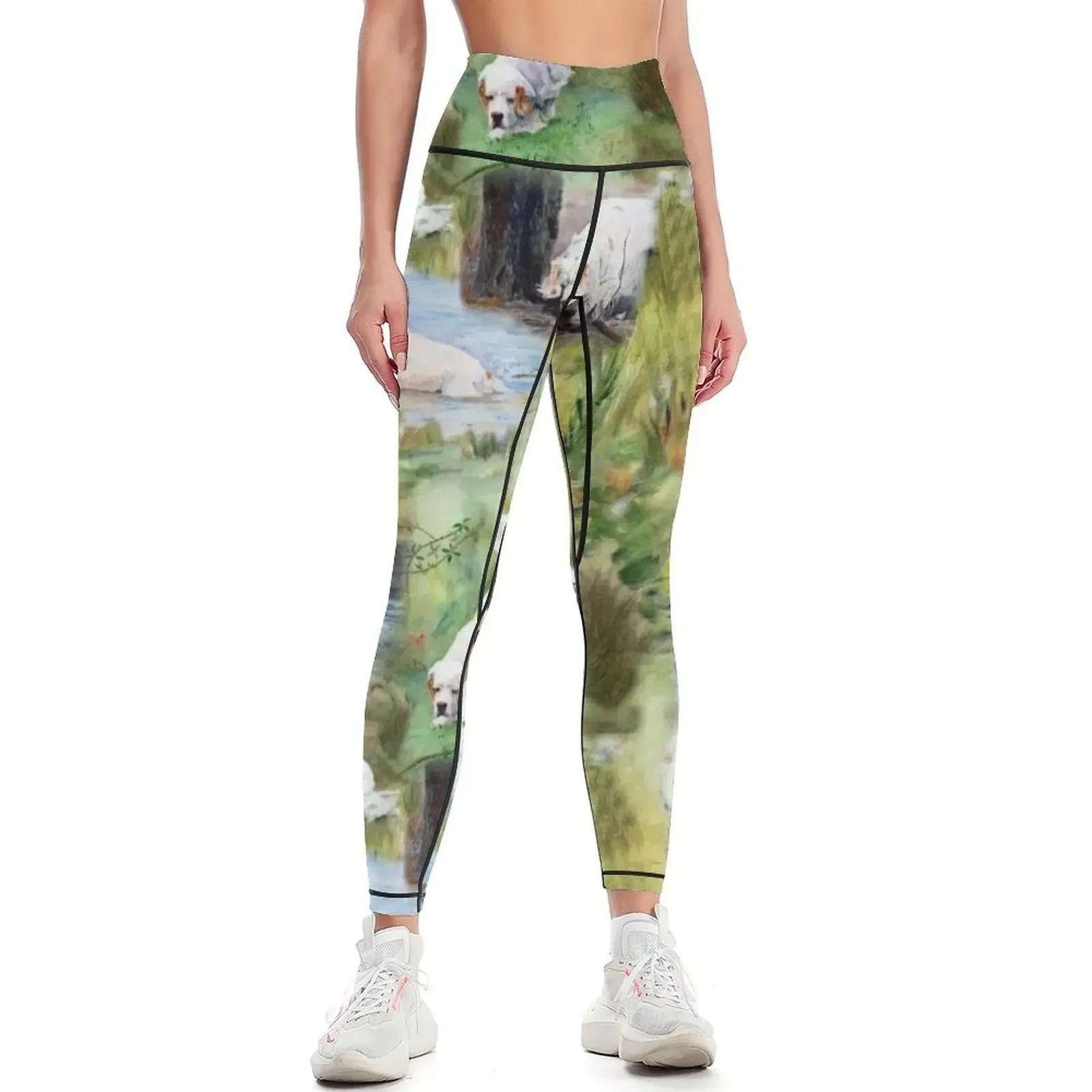 

Clumber Collage Design 1 Leggings Sports pants for high waist sporty woman push up sport set Womens Leggings