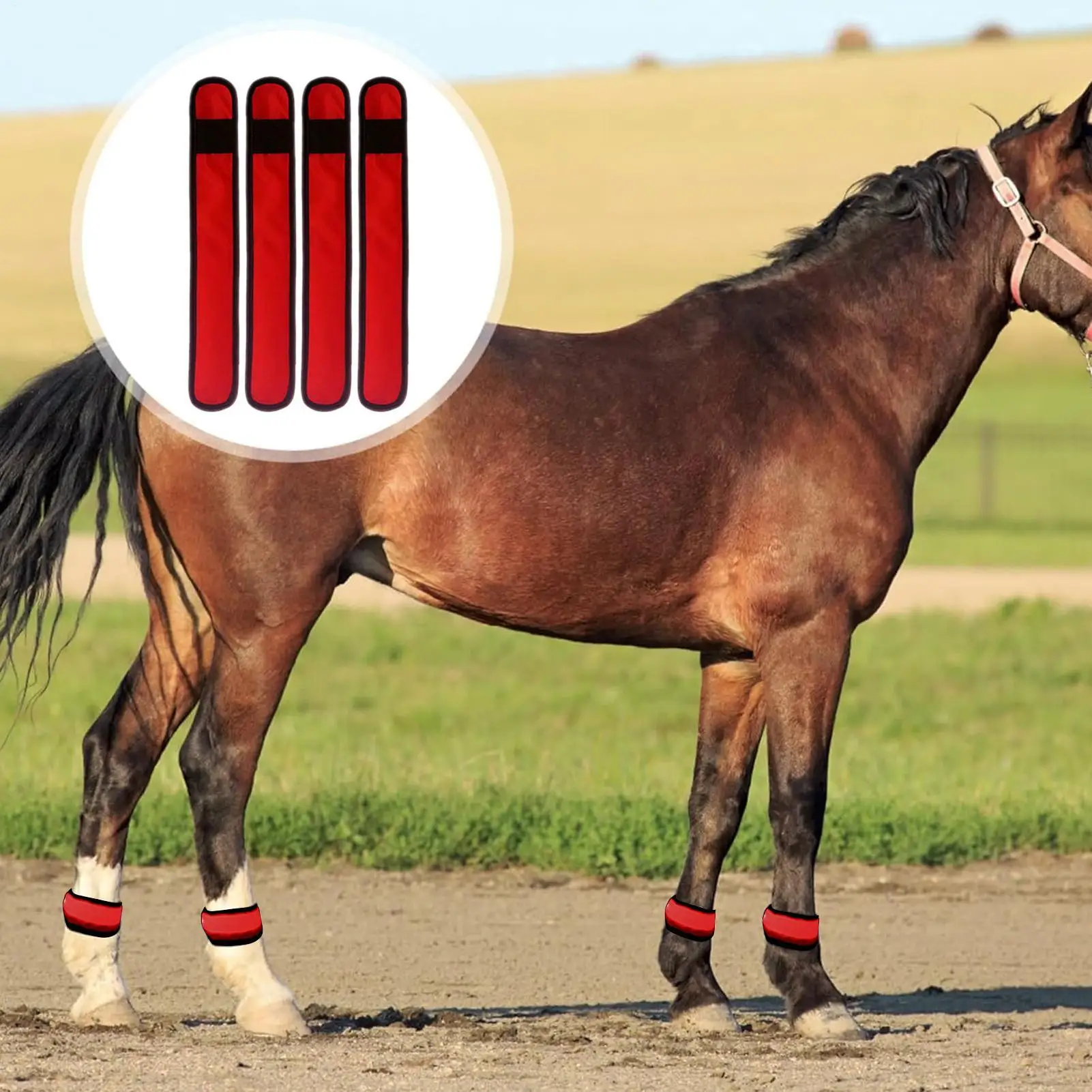 

LED Horse Ankle Bands 4 Pieces Safety Leggings 4 Modes Horse Ankle Straps For Night Riding Trail Road Parade Farm Stable Ranch