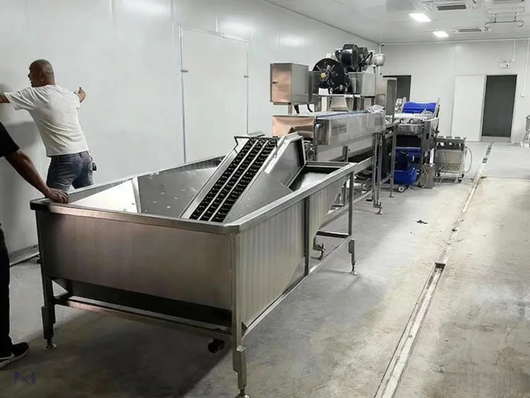 Afbeelding 4: Commerciële eierschaalborstelmachine, eiermodderwasser, eierwasmachine, reinigingsmachine te koop