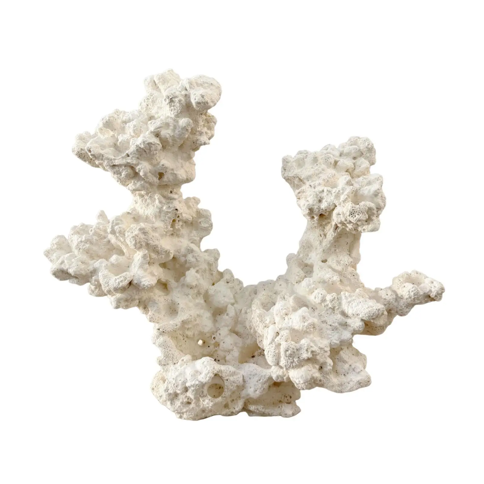 

Украшение гнезда акваскейпа, креативное, морское, фигурка, керамика, декор для аквариума с аnemone, орнамент для разведения аквариума