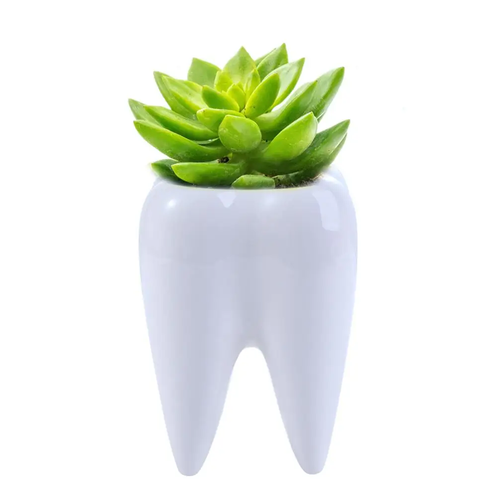 

Succulent Ceramic Potted Living Room Cactus Plants Garden Plant Pot Flower Pot Tabletop Ornaments Plant Container