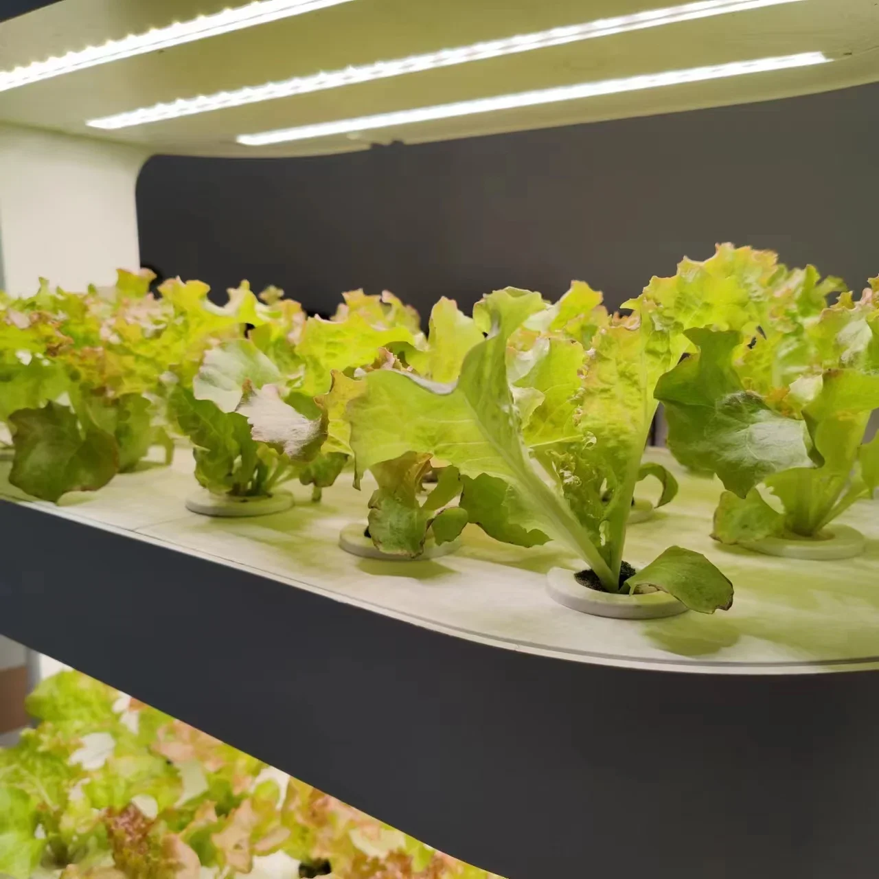 Hydroponic intelligent multi-layer vegetable planter indoor soilless cultivation equipment for vegetable seedlings