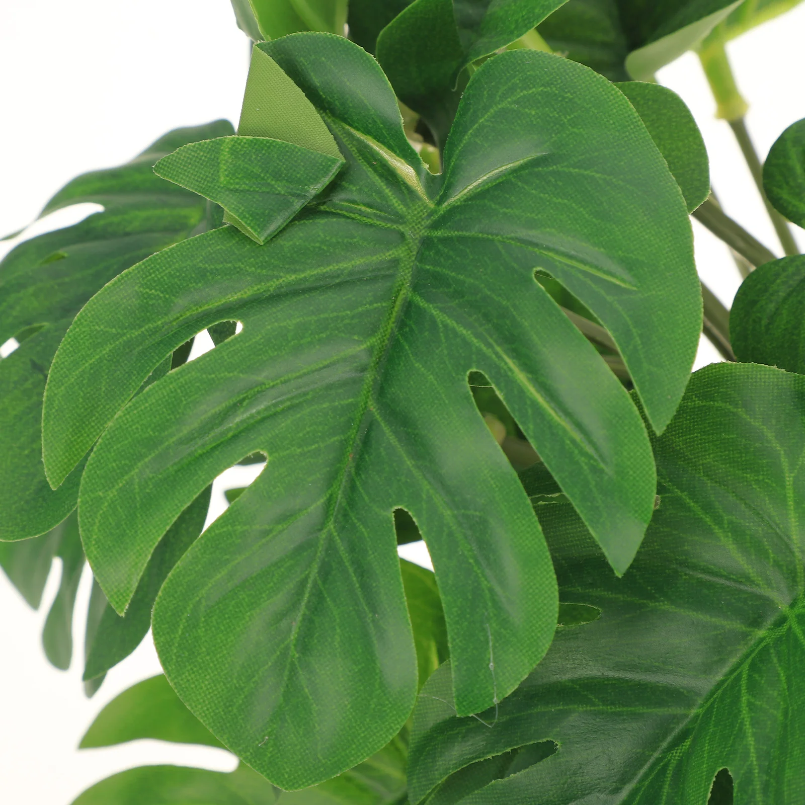 

Lifelike Reptile Plant Simulated Terrarium Plant Ornament Artificial Decoration for Fish Tank Lizard Box Aquarium