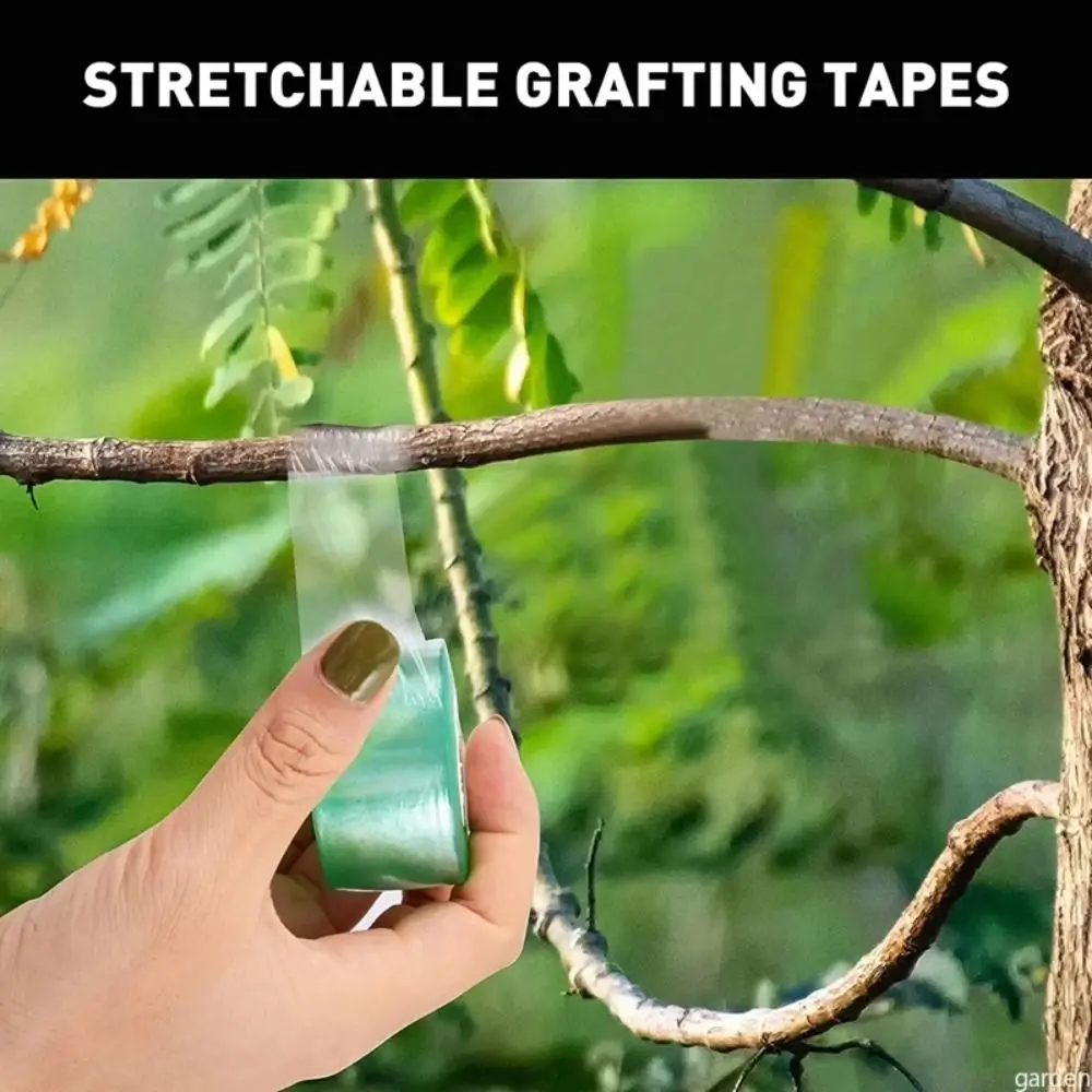 2/3/4cm Grafting Film Tape PE Stretchable Seedlings Protection Membrane Self-adhesive Waterproof