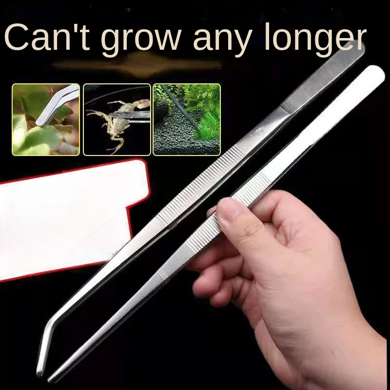 Stainless Steel Straight Bent Round Head Tweezers, Lengthened Clip, Fish Tank, Aquatic Plants, Insect Succulent Tool