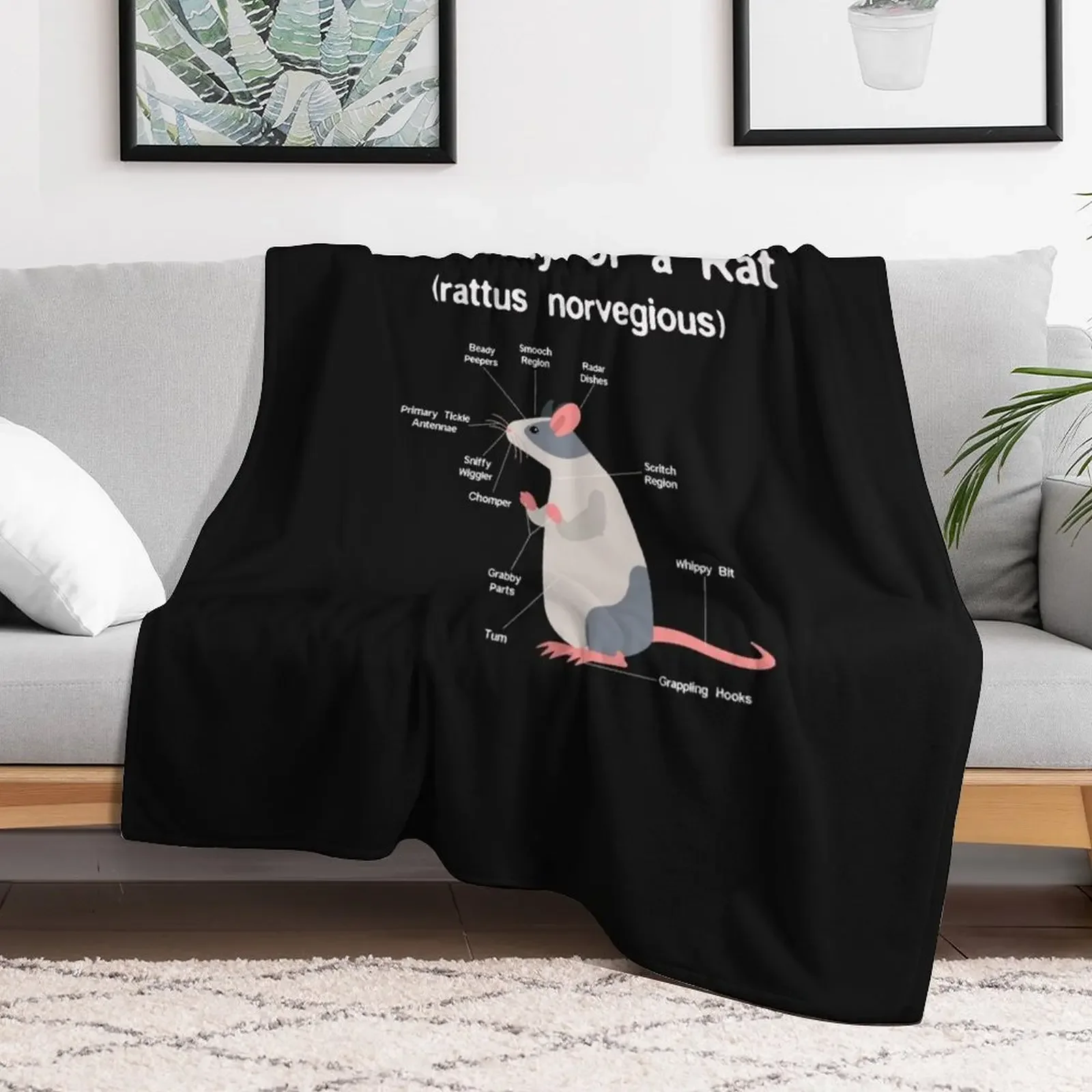 Anatomy of Pet Rat print - Funny Rat Rodent Pet product Throw Blanket Stain Resistant Cozy Warm Blanket
