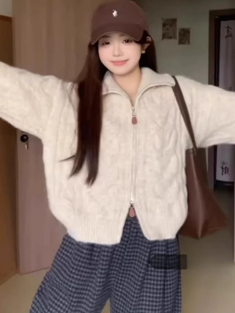 

Новинка 2023 года, ранняя осень, джет с воротником-стойкой, свободный крой, свитер на молнии с высоким воротником, кардиган, женский Sle