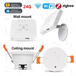 24G Zigbee/WiFi Human Presence Sensor MmWave Radar Detector With Luminance Sensor Smart Home Automation Works With Zigbee2MQTT
