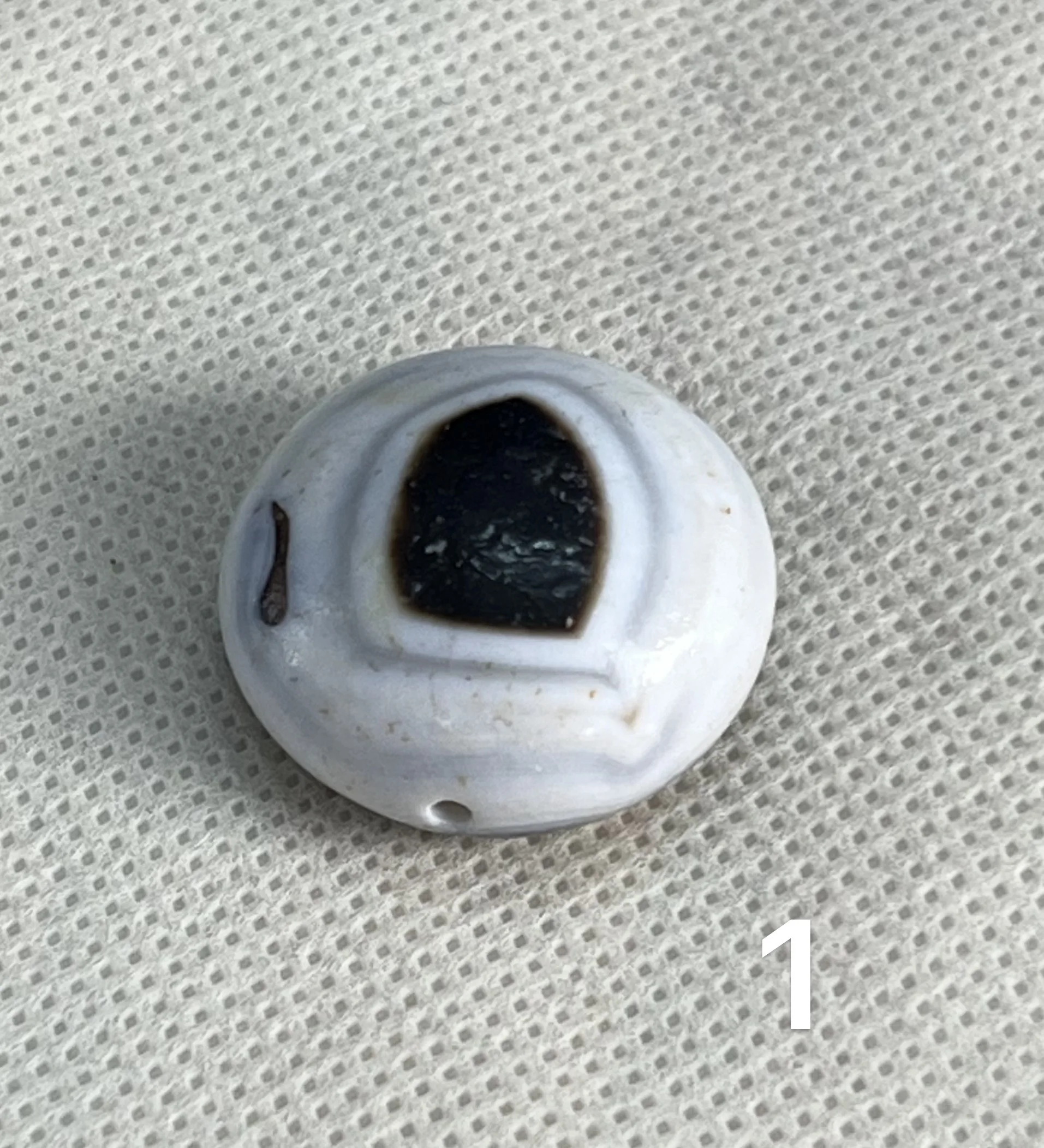 يستخدم هذا الرابط لدفع البضائع المحددة بناءً على الاتصالات التي لا تحتوي على رابط أو رسوم أخرى للشحن