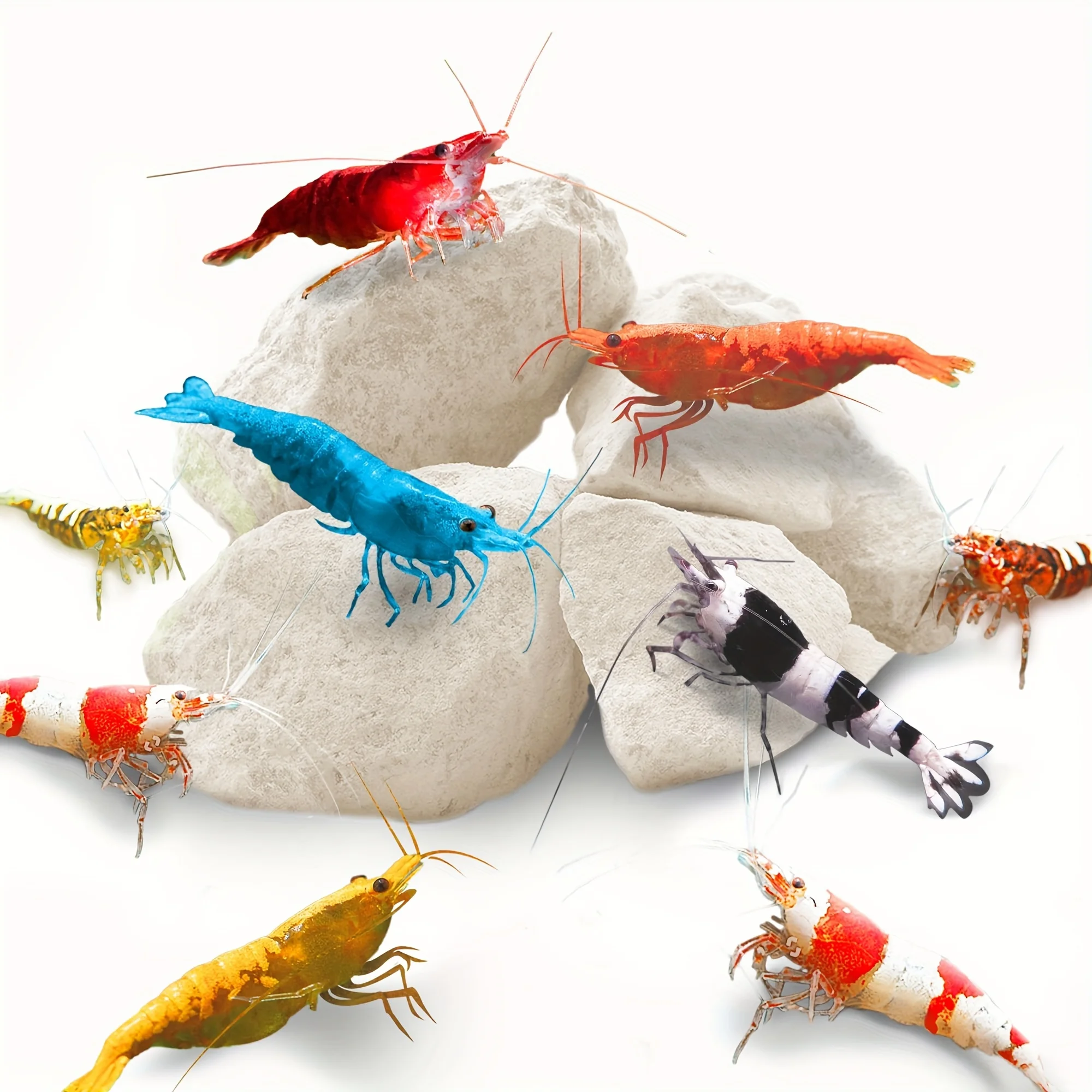 Gramos de camarones, roca, piedra de magnesio de calcio natural para cangrejos, ermitaños, decoración de acuario de uñas, ideal para rojo cristal