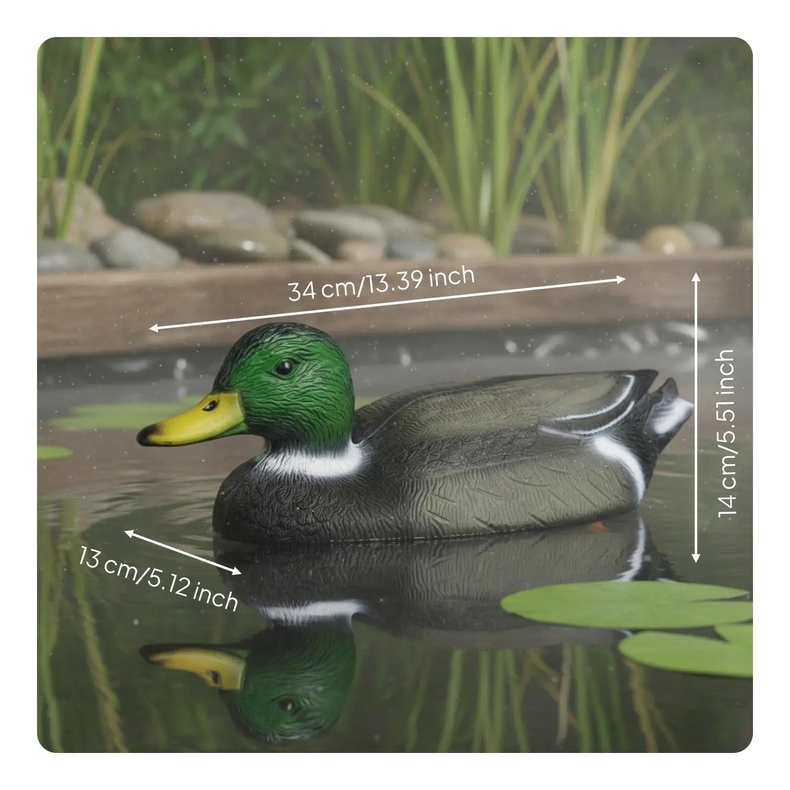 Floating Duck Decoy Realistic Mallard Lure Water Resistant for Hunting Gear and Backyard Display view 5