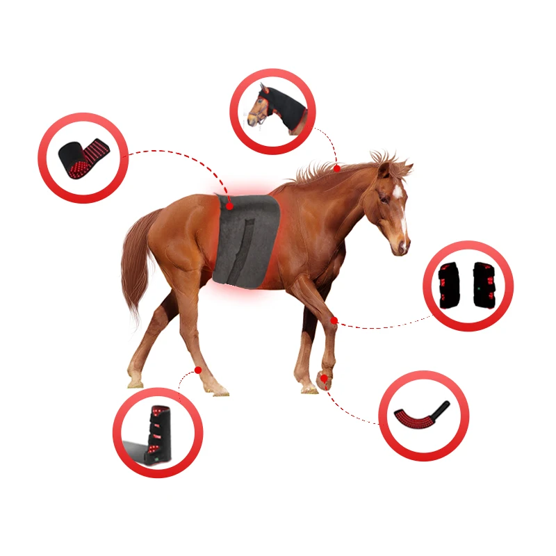 

Pulse Wireless Horse Head Leg Feet Led Therapy Ultrasound Therapy Equine Bemer Therapy Horse Bootxx Blanket