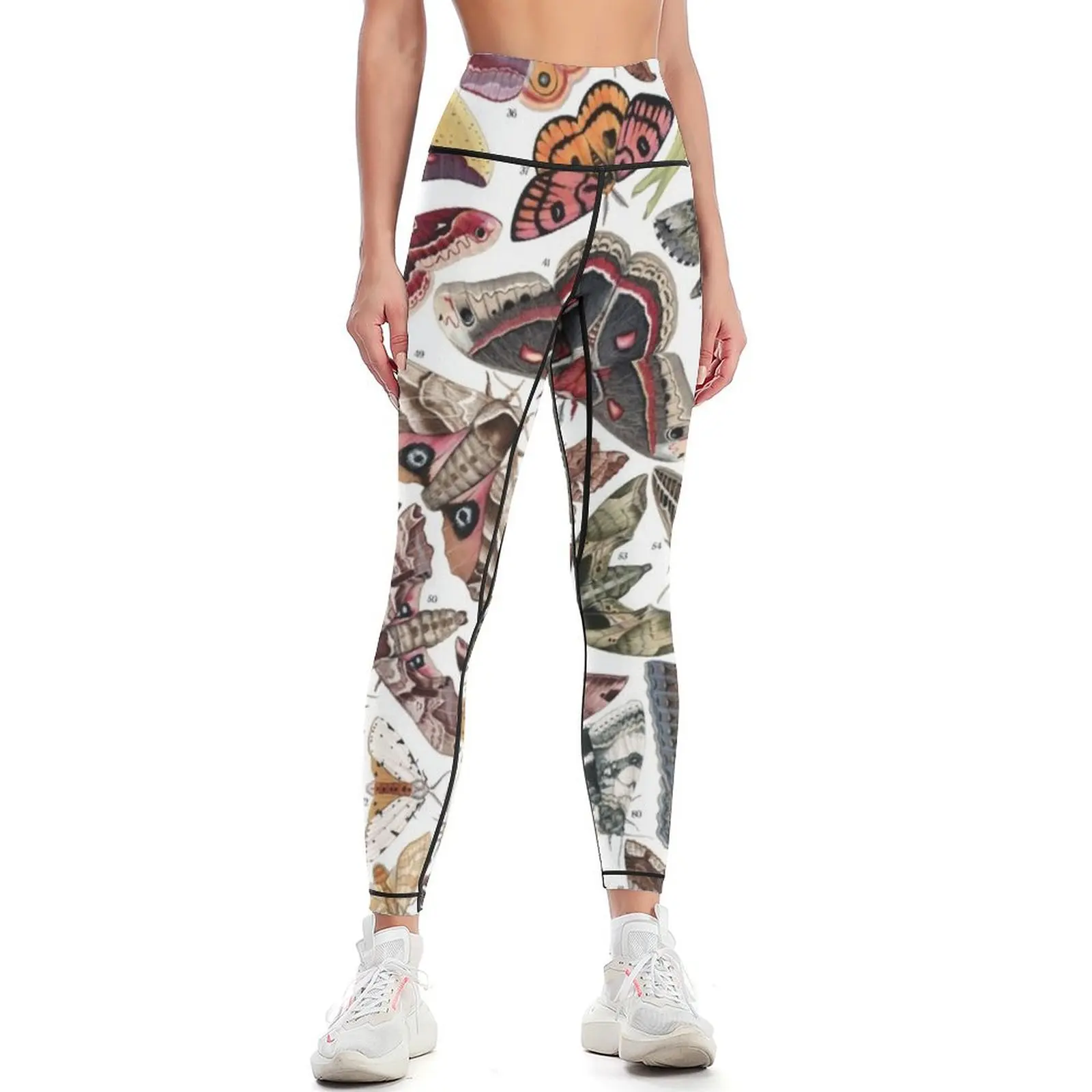 

Moths of North America Leggings Women's gym Women's tights workout shorts sports for gym Womens Leggings