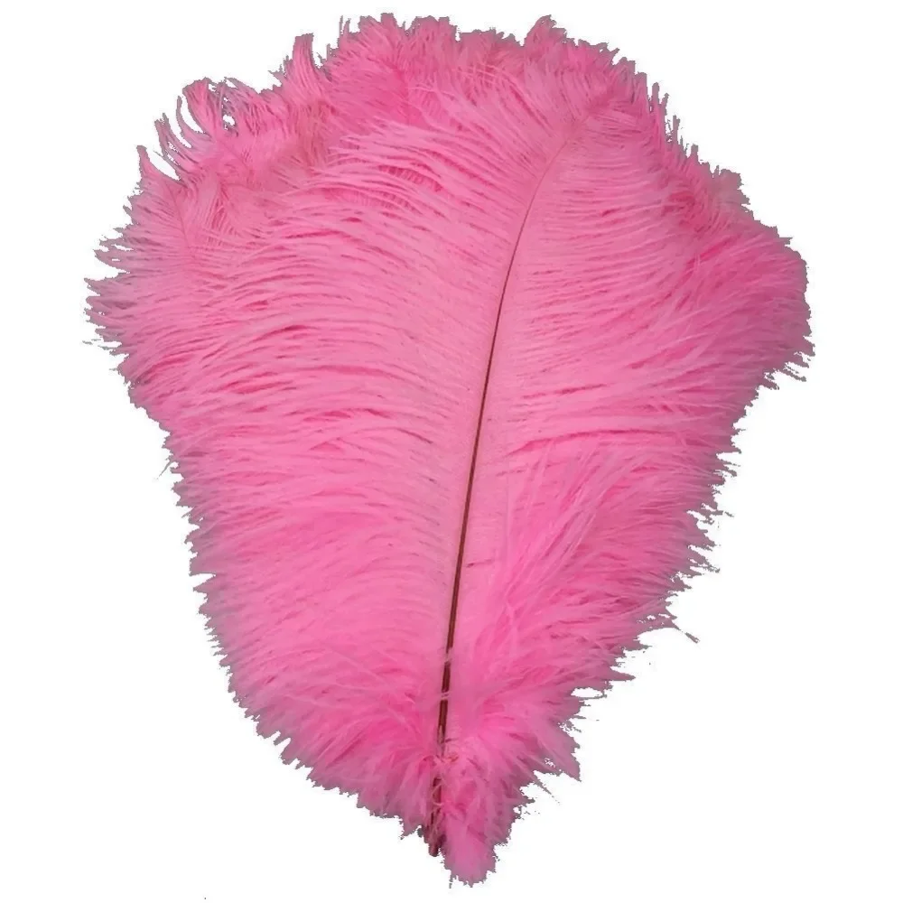 Großhandel Hartfederstäbe 10 Stück/Lot Natürliche rosa Straußenfedern für Bastelarbeiten 15-75CM Karneval Party Hochzeitsdekorationen Schmuckfedern – Detail 1