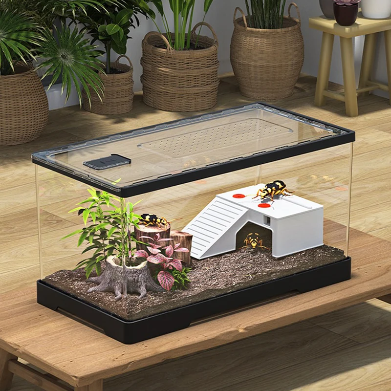 Reptile Reptile Acrylic Feeding Box Household Transparent Lizard Spider Snake Display Tank Reptile Large Breeding Habitat view 2