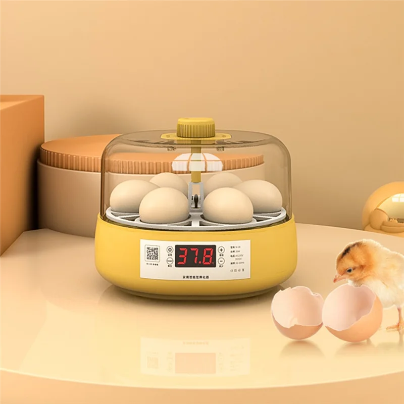 

AUAU-Mini Bird Incubator Automatic Home Incubator Automatic Incubator Electric Children's Chicken Bird, 6 Eggs,EU Plug