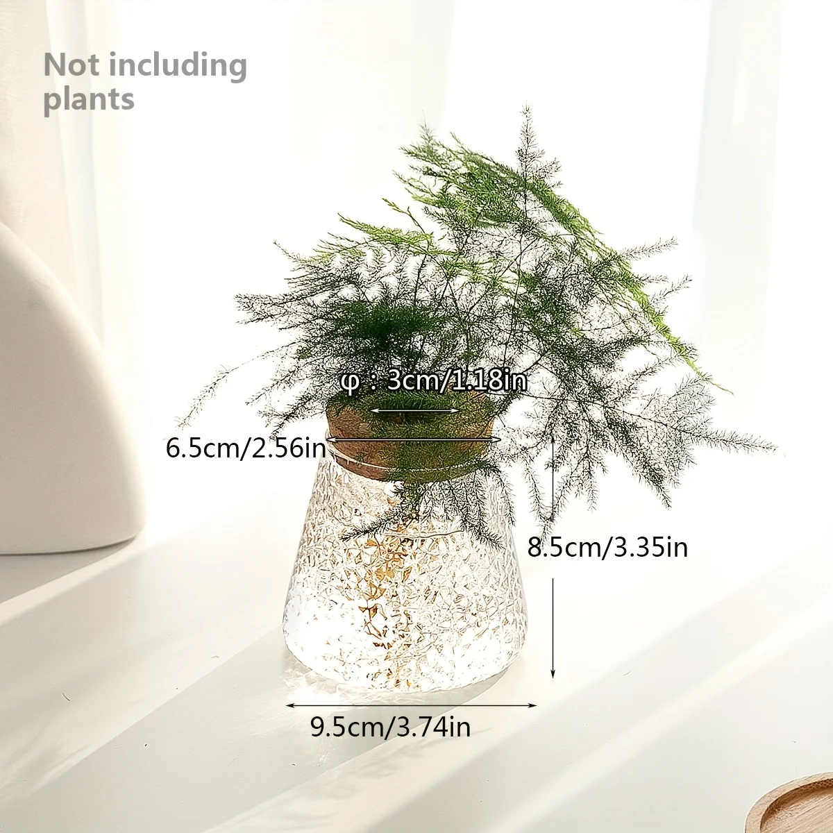 NONE 1pc, Glas Pflanzer Vermehrung station Vase Rack Tischplatte Hydro ponik Pflanzen Stecklinge Büro Home Dekoration 4