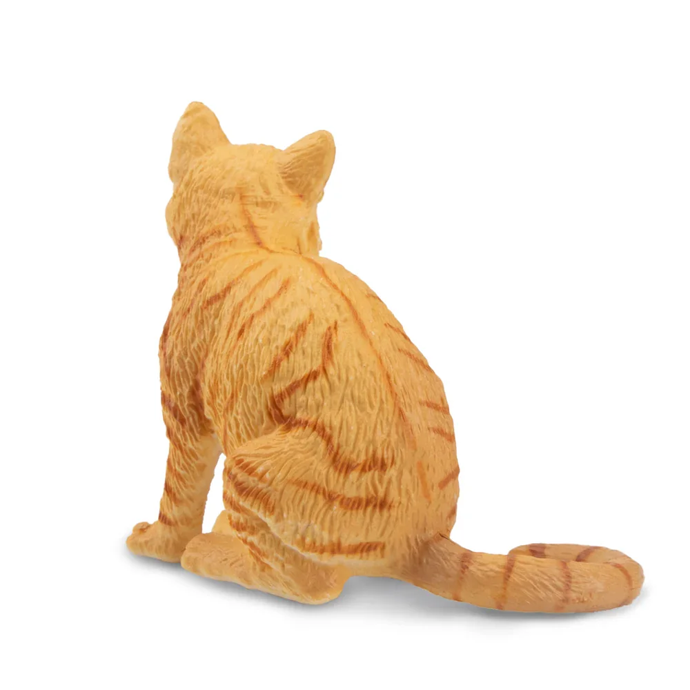 Toymany محاكاة البرتقال Wirehair القط الحيوانات الأليفة نماذج للحيوانات لعبة شخصيات صغيرة دمى عمل التماثيل لعب الأطفال هدية كعكة ديكورا