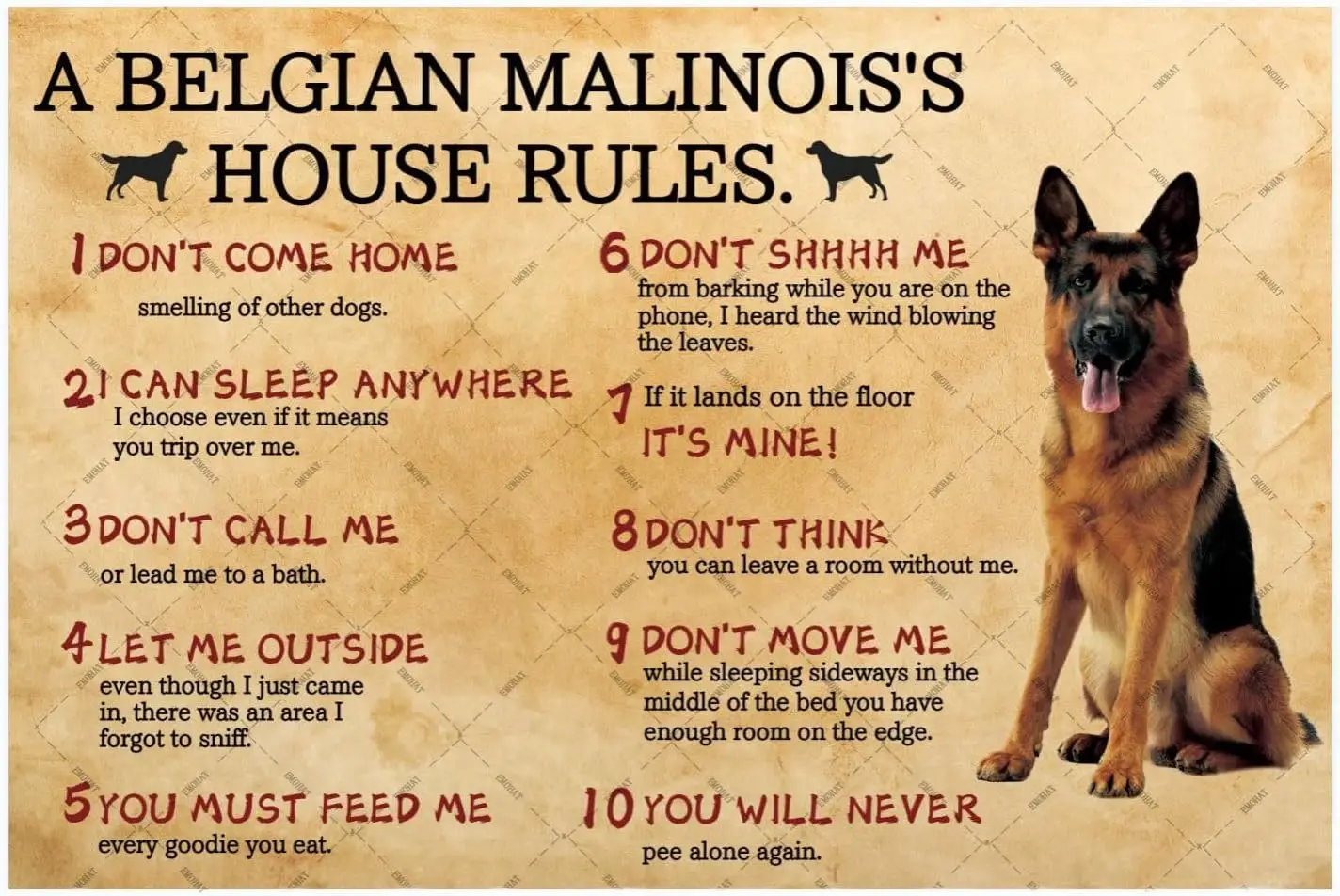 1p, House Rules Metal Tin Sign by Belgian Malinois Dog Rules Funny Wall Decoration Home Decor Tin Signs Vintage Wall Art Poster