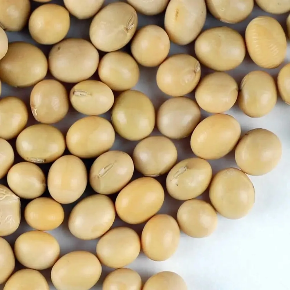 Test link, the product is for testing purposes only - for testing purposes only, not for actual use. No delivery upon placing aCertiied Organic Dried Yellow Soybeans - 30 Lb - Perect or Use in a Soy M image 2