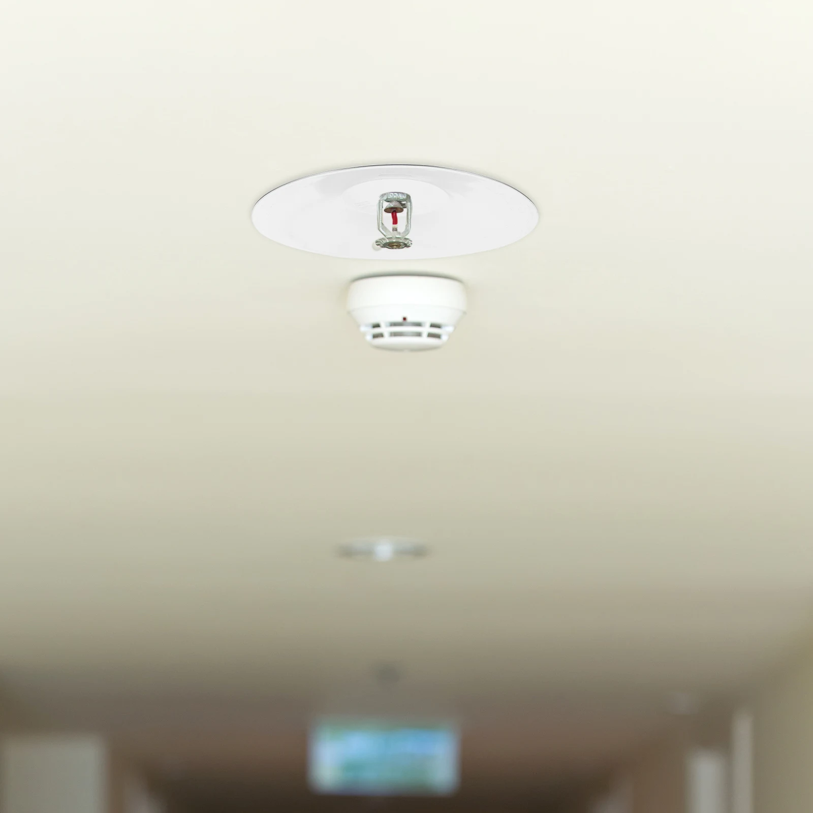 Metal Fire Sprinkler Heat Collecting Cover Dn200 Plate Absorbing Shield Fire Suppression Tool Sprinkler Cover Plate