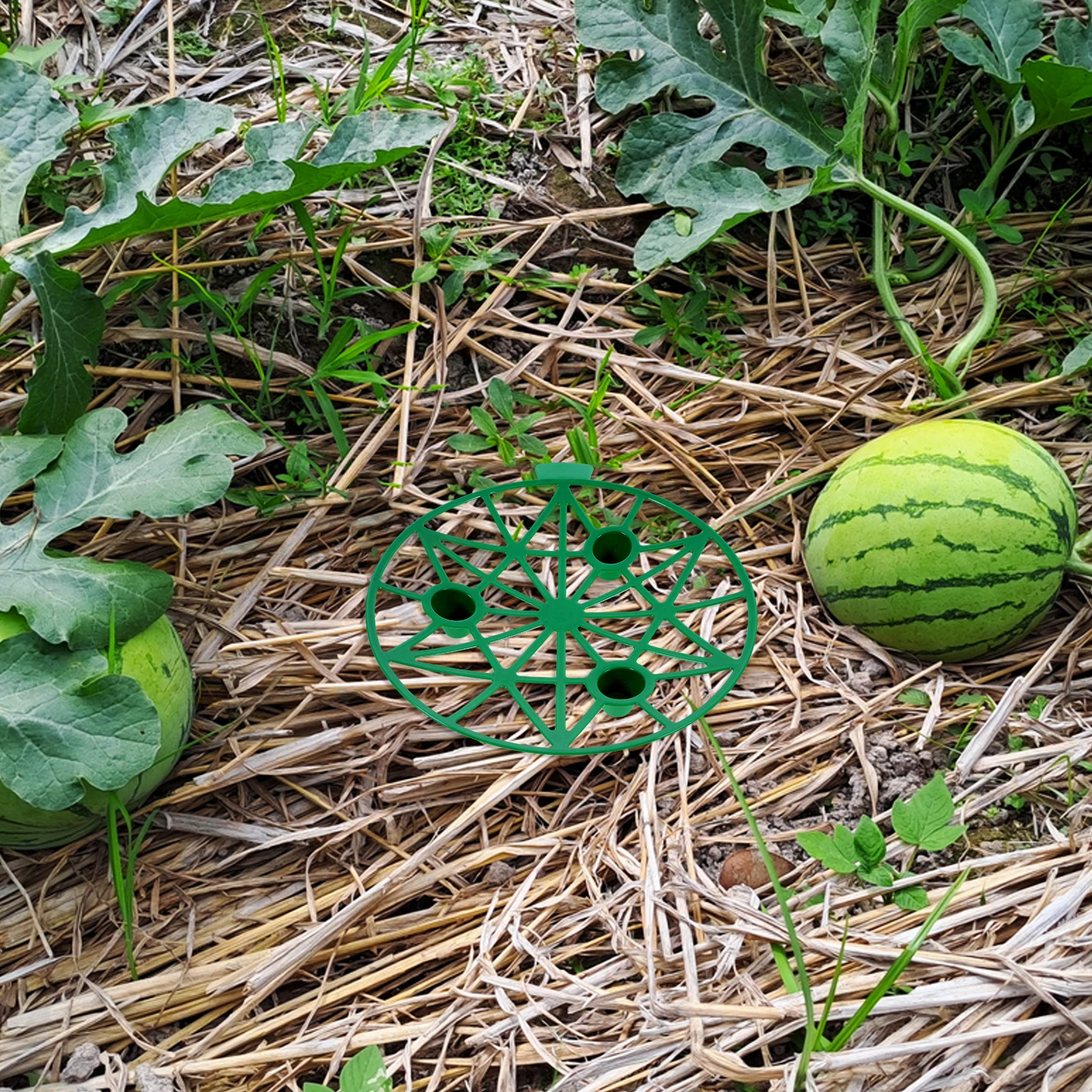 

5pcs Fruit Tray Trellis Reusable Watermelon Holder Gardening Blue Melon Cradle Pumpkin Support Plant Protector Fruit Tree