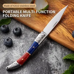 Folding fruit knife, outdoor portable knife, mini folding knife, ethnic style craft knife, folding traditional knife, DS9195