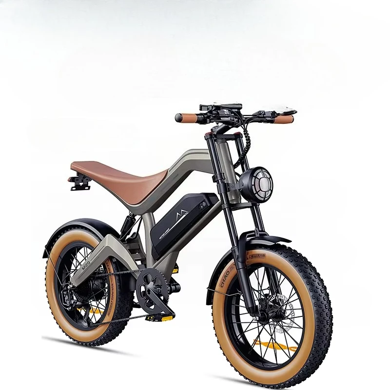 #￥forEU Shipping F-WHEEL M20 Electric Bicycle 750W Front Hub Motor 48V 18.2Ah Battery 20''*4.0 Fat TiresRoadSnowMountain 7-Speed