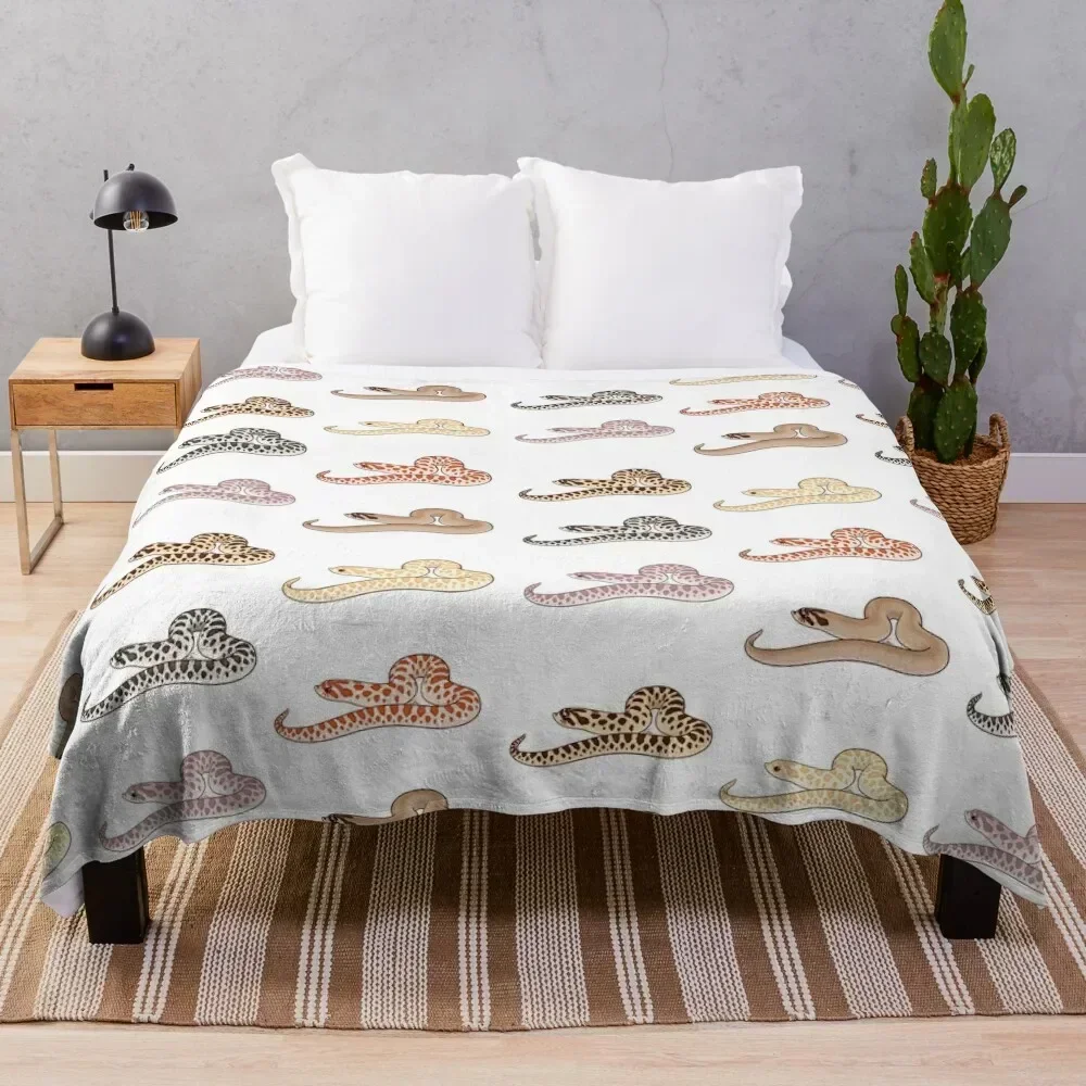 

Western Hognose pattern, morphs normal, albino, lavender, red, superconda, superoctic Throw Blanket