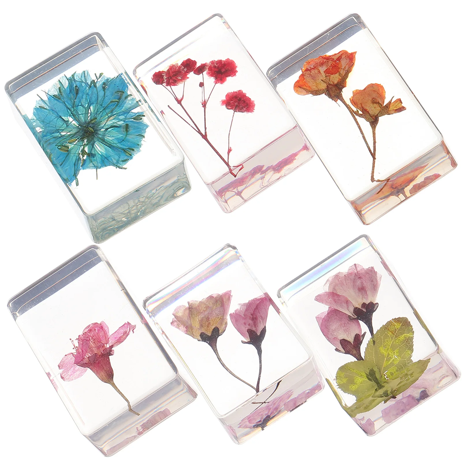 

6pcs Resin Flower Amber Specimens Dry Flower Paperweight Decorative Plant Accessories Educational Teaching Tools Diy Crafts
