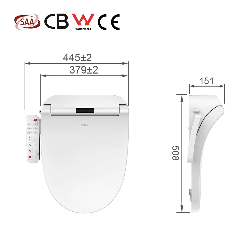 Smart Automatic Universal Toilet Seat Flushing Bidet Toilet Seat Spray