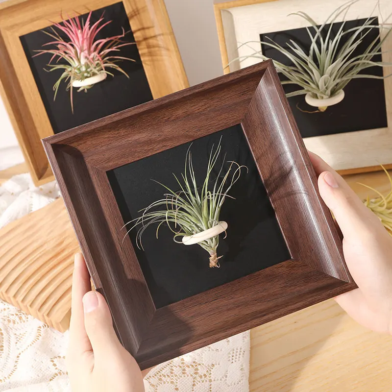 1Pc Vintage Air Plant Frame Square Photo Frame Magnetic Backboard Retro American Style Home Desktop Decor