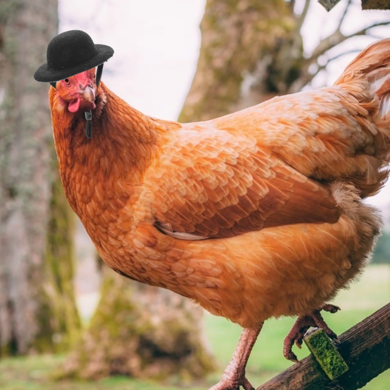 

6 Pcs Pet Chicken Hats Funny Decorative Snake Hen Tiny Supplies Adjustable Stylish Cloth Safe Comfortable Photo Prop Small Pets