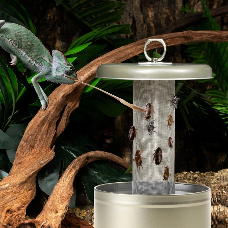 Hanging Lizard Bowl Integrated Bowl Anti-escape Iron Hanging Water Bowl Food Basin Pet Lizard Reptile Water Feeder