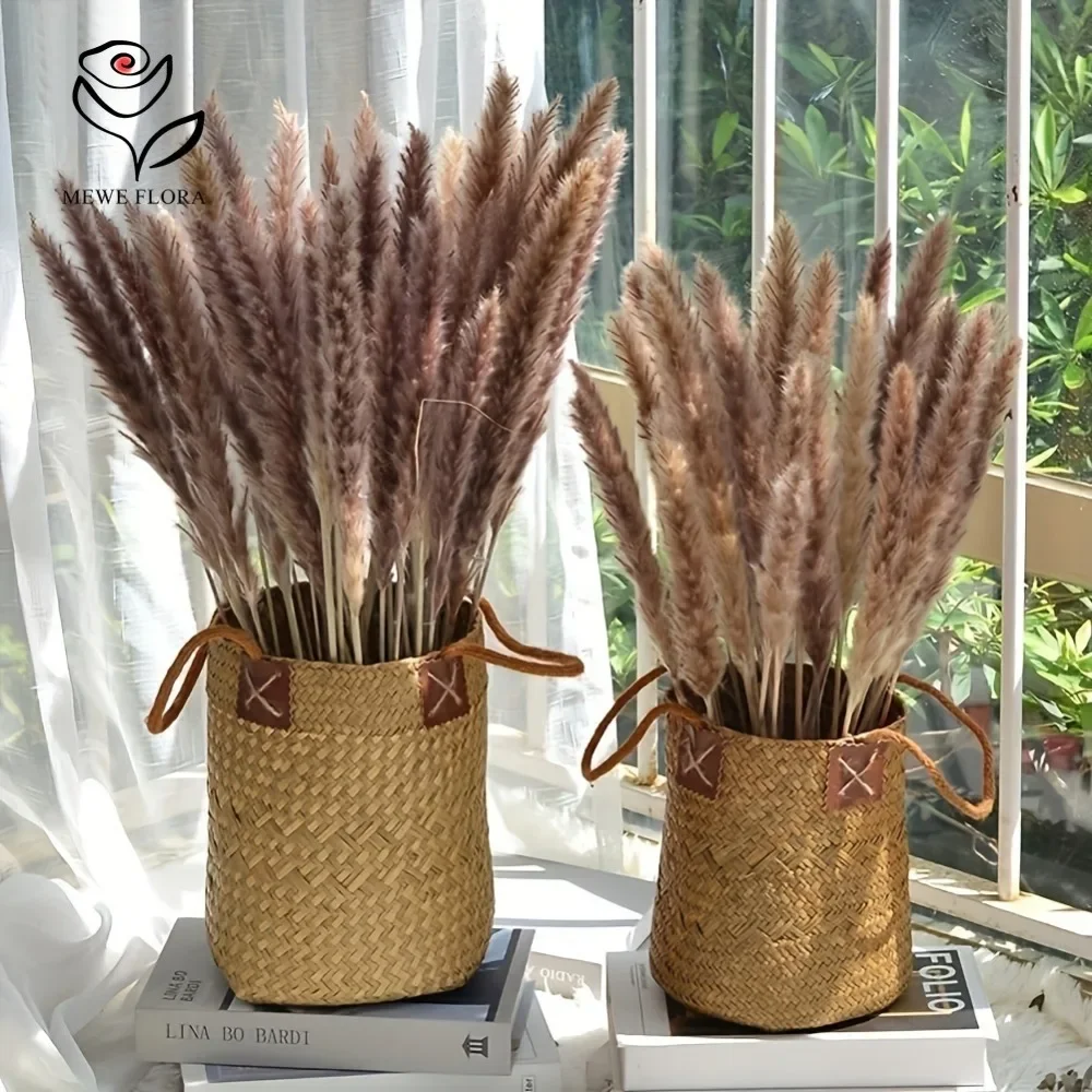 

Dried Flowers Natural Reed Pampas Grass Bouquets Home Wedding Table Decoration Real Phragmites Plants Christmas Halloween Decor