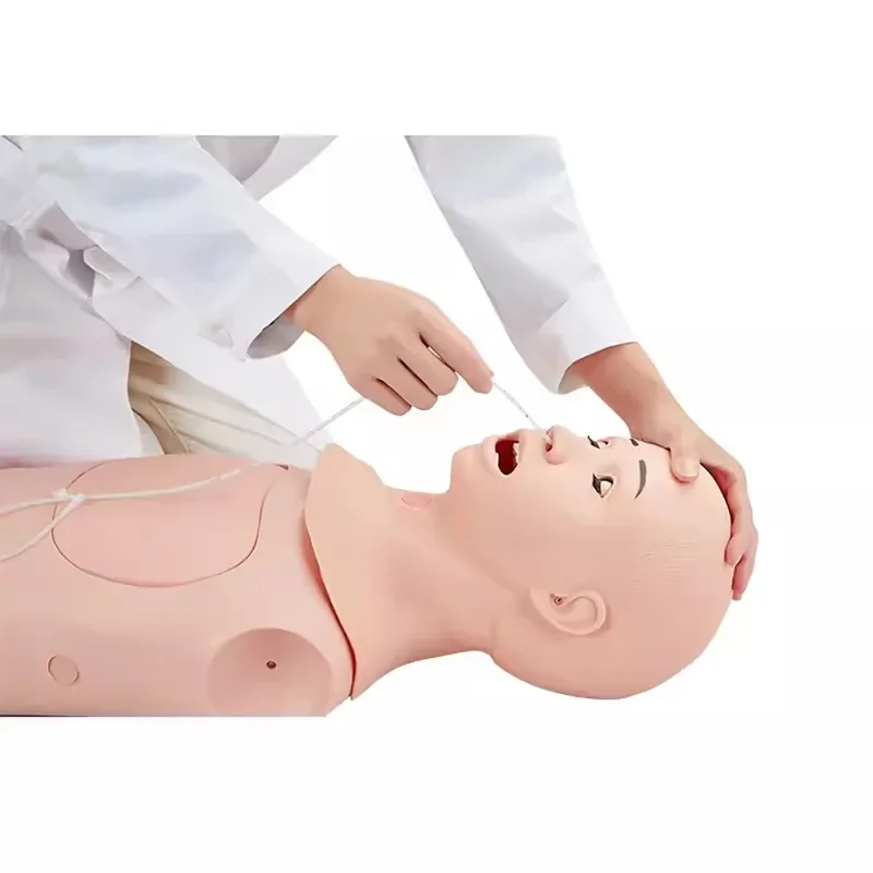 Nursing Model Of And Trachea Laryngeal Intubation Gastric Tube Nasogastric Feeding Puncture