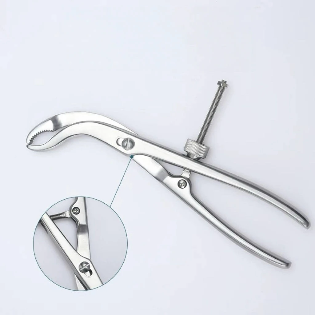 Orthopedics Instruments Teeth in The Head Fora More Secure Grip Centering Bone Holding Forceps Surgical Instrument Pet