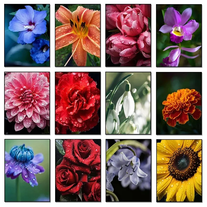 Classic Tulip Calla Lily Rose Chrysanthemum Beautiful Floral Photography Poster Canvas Paintings Wall Art Pictures Home Decor