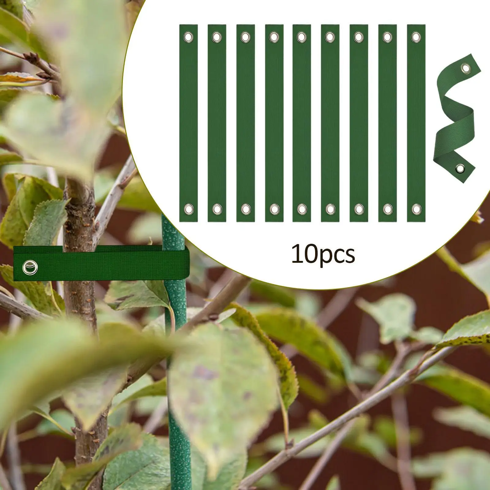 Cinghie per albero da 10 pezzi per picchettare alberi appoggiati Cinghie di supporto per albero da 15,7 pollici