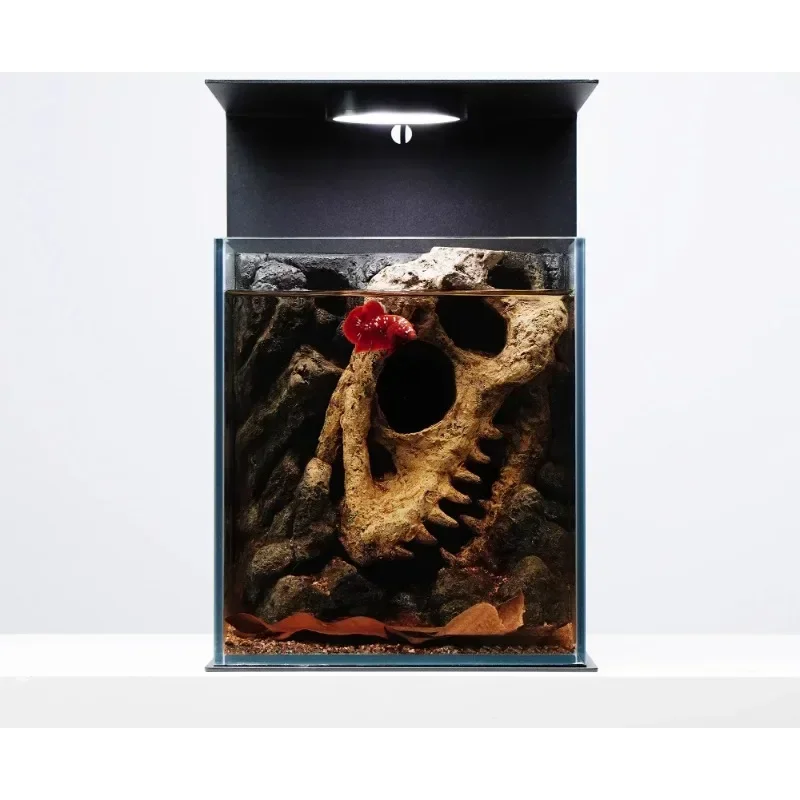 Ultra-White Glass Micro-Landscape Fighting Fish Tank Home Desktop Small Aquarium for Fish Breeding And Viewing