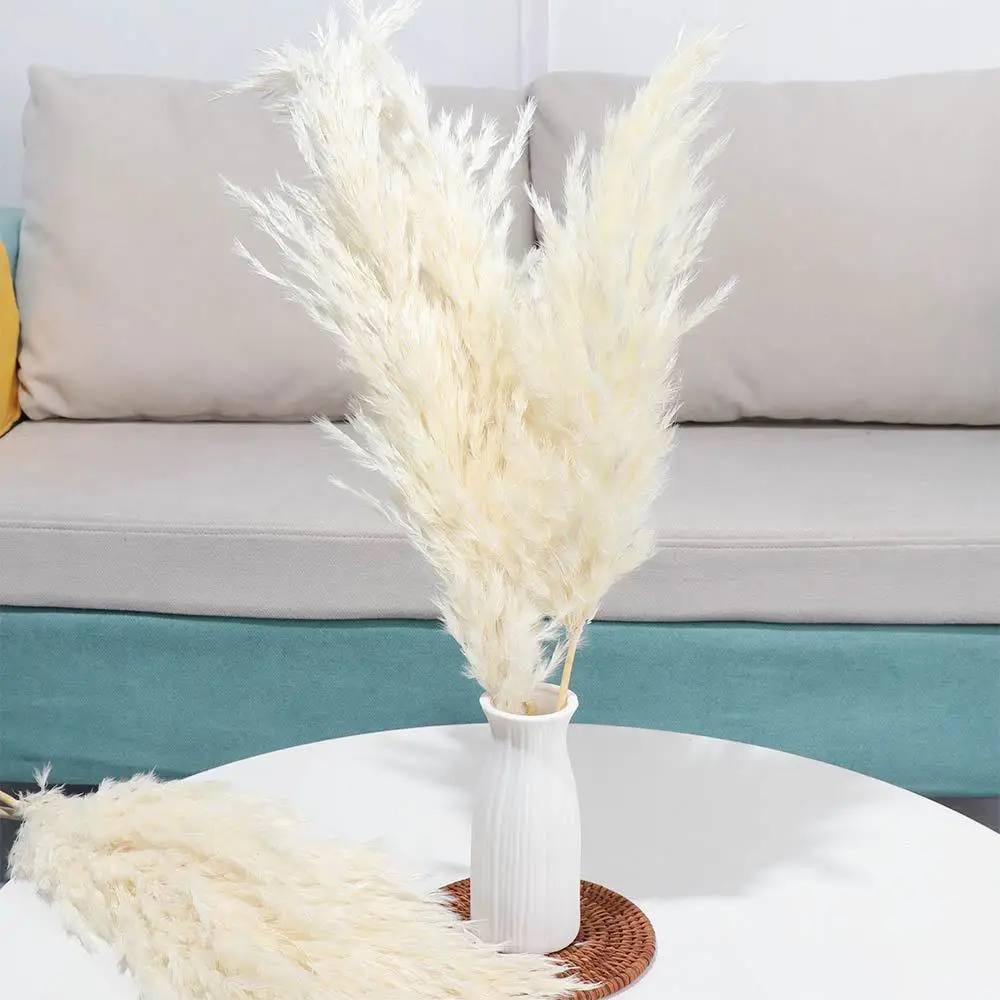 Natural Decorative Plumes Flores Secas White, Pink Bouquet Flowers Artificiales Para Decoracion Small Pampas Grass