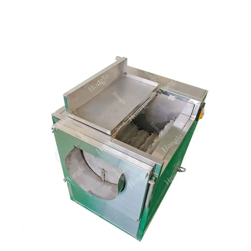 

Multifunctional Carrot Brush Fruit Sea Cucumber Washing Machine