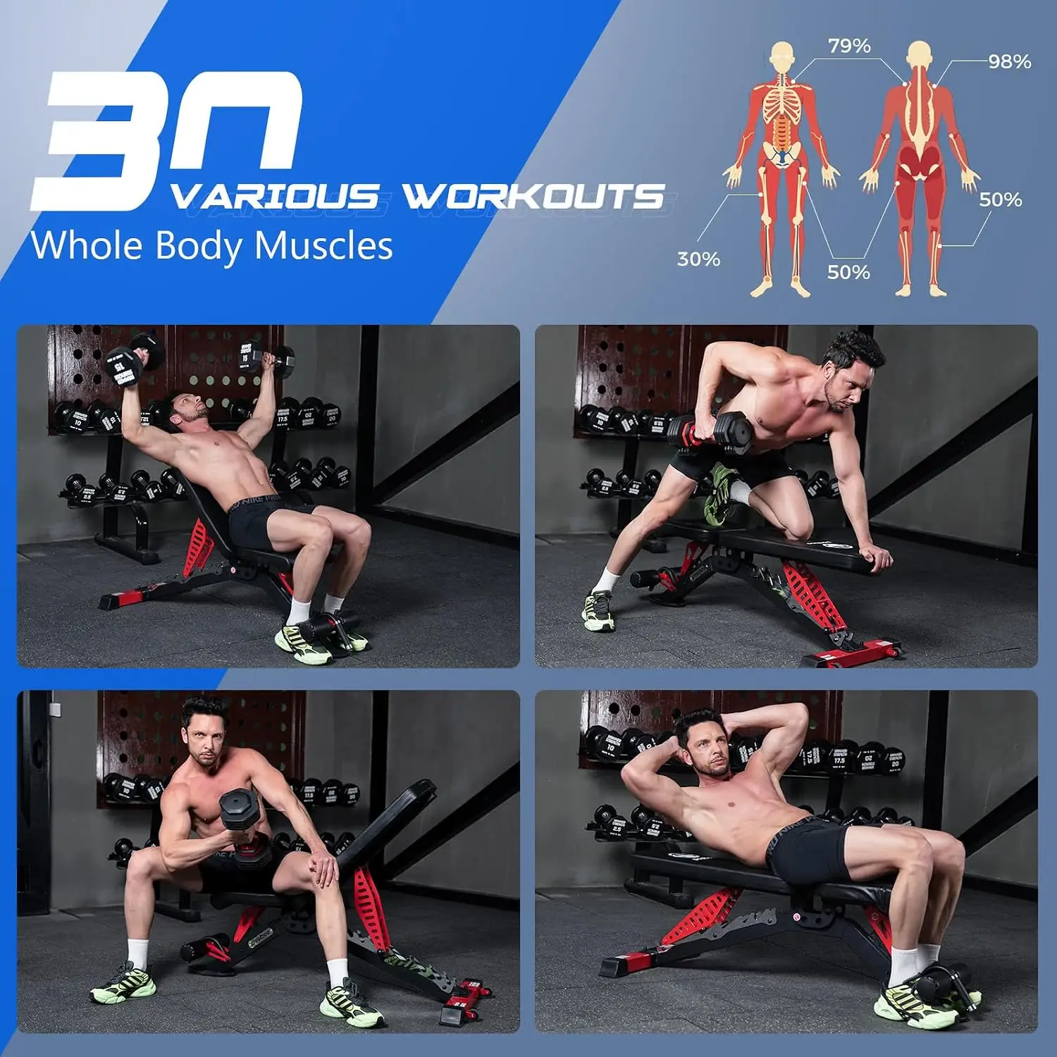 Adjustable Weight Bench, 1500  - Home Gym Weight ulasan dan harga