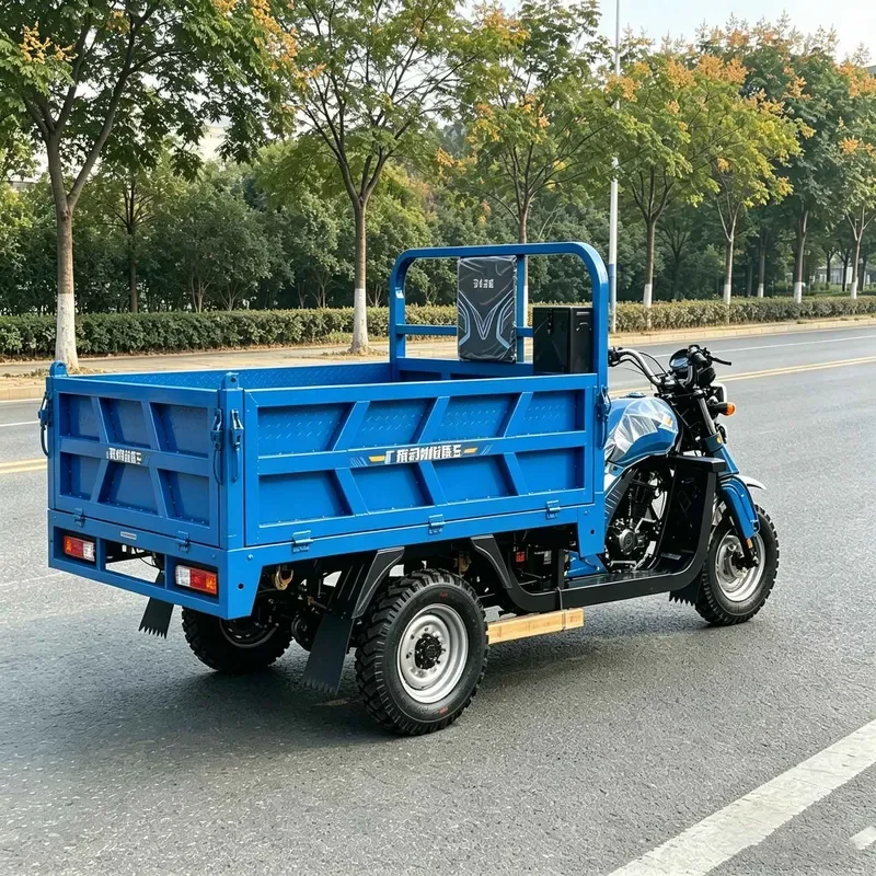 for Straddle Export Three-Wheeled Motorcycle Durable High Horsepower Heavy-Duty Cargo Trike with Three Bungee Cords African