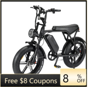 STLF DZ WJW Advanced 1000W Fatbike  V8 in Stock  NL Warehouse 20 Inch Adults Ebike 48V 15Ah 7-SP Beach Cruiser Electric Fat Tire