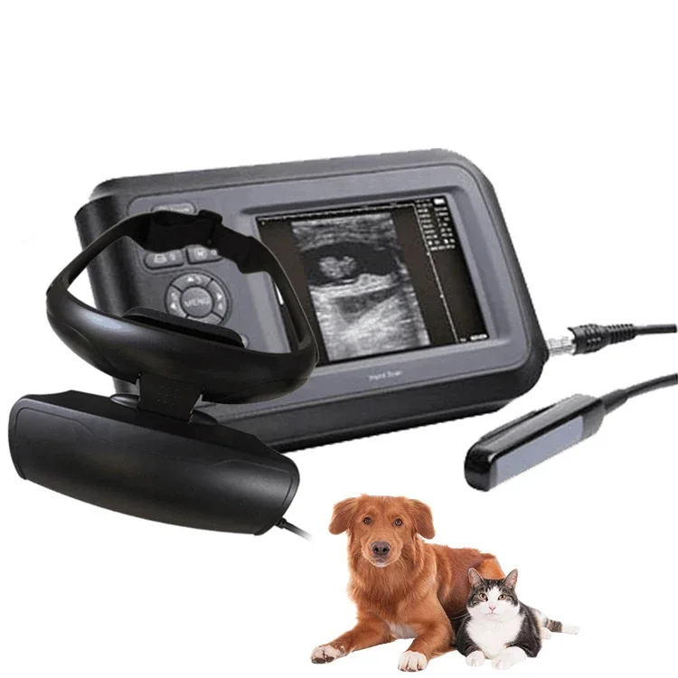 

Portable Handheld Animal Ultrasound Cow Diagnosis Black and White Ultrasound for Vet