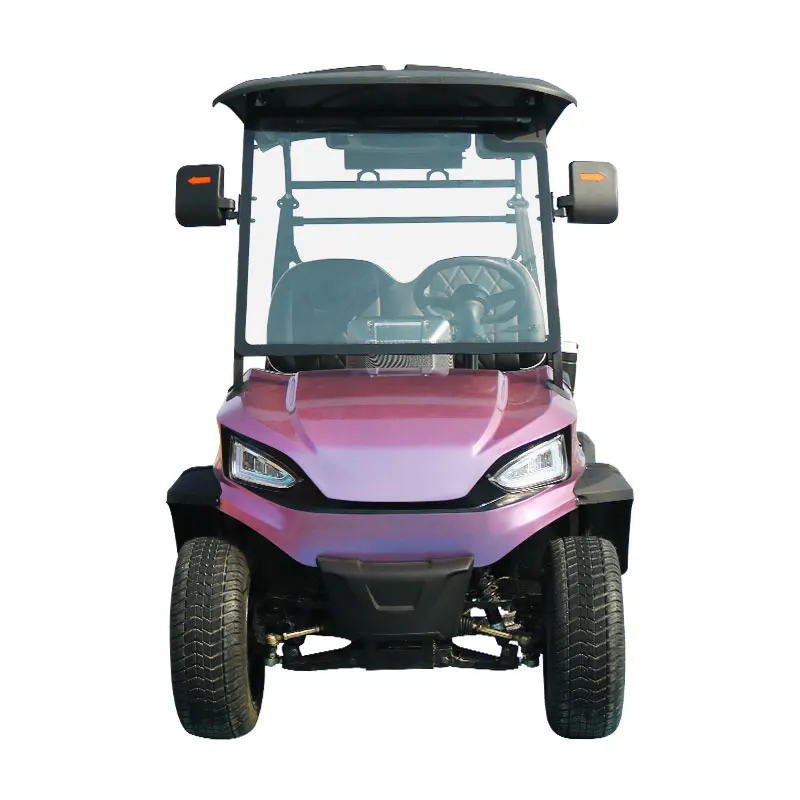 2+2 Seats Electric Lifted Golf Cart Hunting Car with Powerful 5KW AC Motor Controller  Electric Golf Cart